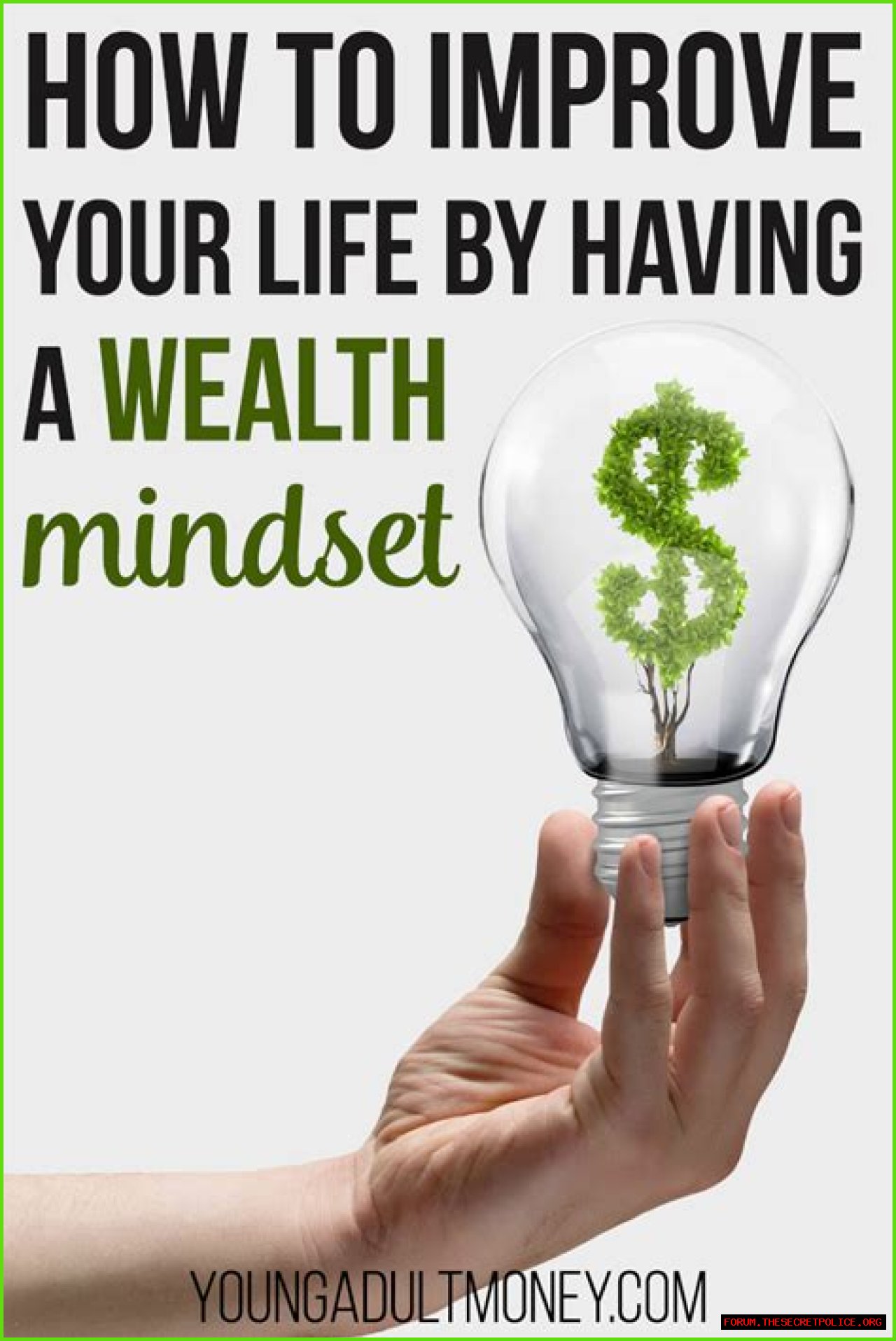 Surprising Wealth And Financial Ingenuity